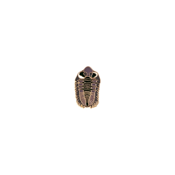 Pin Trilobit 